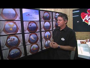 Disney Cruise Line - Magical Porthole