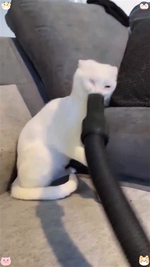 Funny prank #foryou #funny #fyp #prank #usa