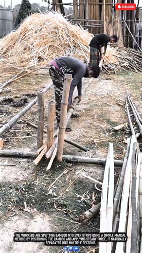 Manual Bamboo Splitting Using Traditional Technique