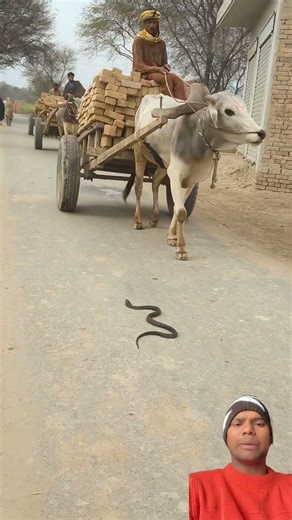 Mind-blowing Gadgets and tools Revealed 🚀#short #Gadgets 168