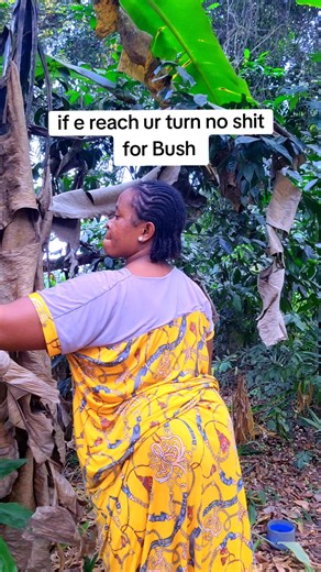 Understanding the Bush Phenomenon