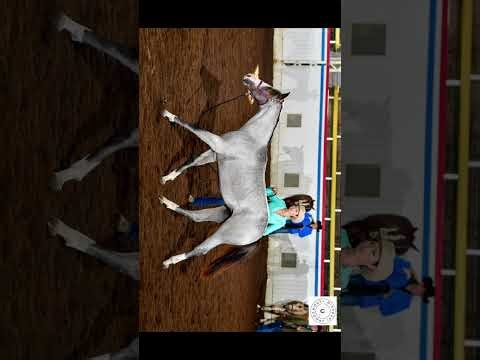 2024 APHA Filly by Ultimately Lazy