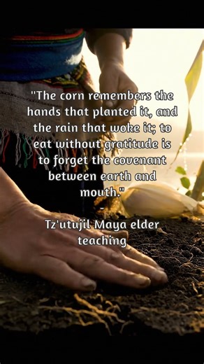 The Corn Remembers: A Maya Lesson on Gratitude and Reciprocity