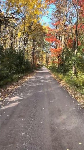 ATV trail between Spooner and Shell Lake Wisconsin #travel #atv #utv #outdoors #shorts #shortvideo