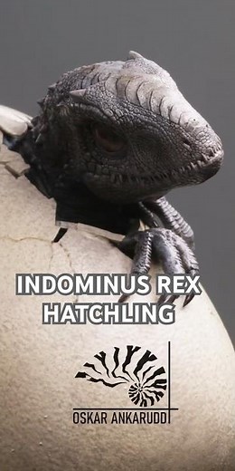 Jurassic Park: Indominus Rex Hatchling