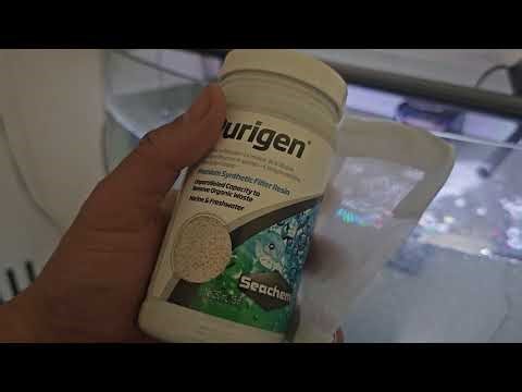 Purigen & Matrix Bio Media