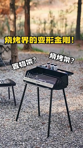 Naturehike挪客墨烟立式烧烤架子便携户外烧烤架露营炉具家用折叠炭烤肉架 暗夜黑-升级套装A