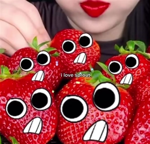 Exploring the Bond Between Sprout and Cosmo