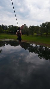  Soar Through the Treetops at The Big Pineapple! Feel the Rush –...