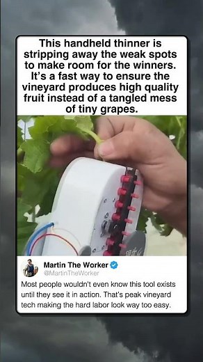 THE ULTIMATE GRAPE THINNING TOOL