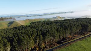 69K views · 2.9K reactions | Tour sa neighborhood dito sa New Zealand via drone | All about Jenn | Facebook