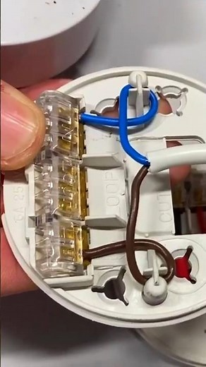 What’s Going on Inside of a UK Ceiling Rose