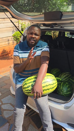277K views · 5.3K reactions | Watermelon Training Theory and practical course 0778839023 ##CreatingGenerationOfFarmers | Lovemore Chitsva | Facebook