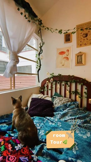 #mexico #goblincore #cottagecore #aestheticroom #roomtour #cottagecoreroom #goblincoreroom #aestheticroom #aesthetic