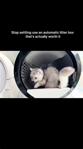 Automatic Cat Litter Box: A Game Changer for Cat Care
