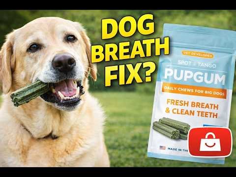 Do Dog Dental Chews Actually Work? | Spot & Tango PupGum Honest Review