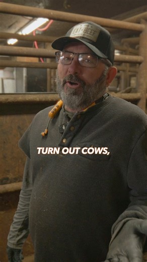 9.5K views · 2.9K reactions | If you’re going to sell your calves, this is how and when I would do it. I think this is what would maximize your profit given the current cattle market! If you have any questions, ask in the comments and we’d love to help! Please like and share this video too, thanks! #cattle #profit #cows #cattleranch #agriculture | Rutherford Cattle | Facebook