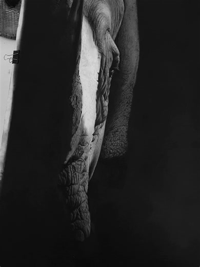 Creating Hyperrealistic Textures in Pencil Art