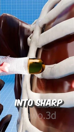 What Happens When a Bullet Enters the Human Body 💥🩸