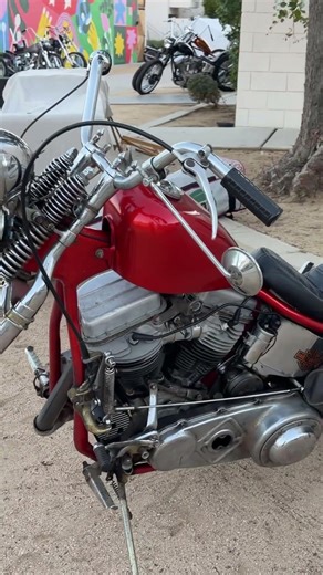 PARADISE Road Choppers #DicEtv #harleydavidson