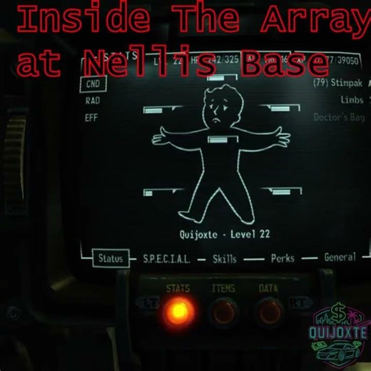 Fallout New Vegas- Unique Weapon