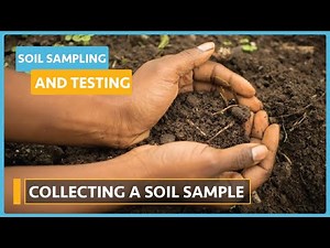 Soil Health and Testing ( Lesson 6) - Soil Sampling & Testing
