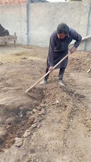 farm cleaning 😱#viralvideo #cattlefarming #trending #dairyfarm #ytshorts #youtubeshorts #shorts