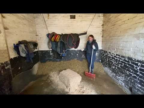 How to muck out a horse stable and lay a fresh bed
