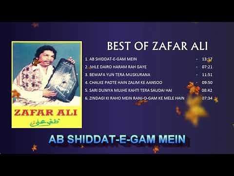 BEST OF ZAFAR ALI