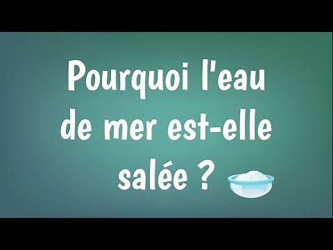 Pourquoi la mer est-elle salée ?