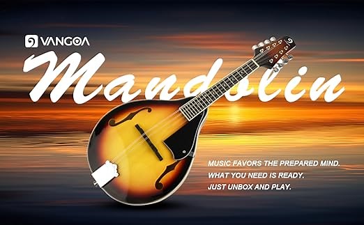 Mandolin Instrument for Beginners