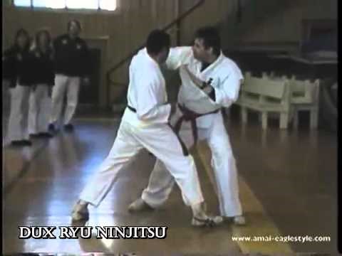 Koga Yamabushi: Dux Ryu seminar, Shidoshi Frank Dux "ninjutsu"