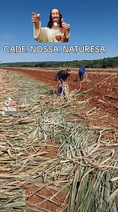 Celso Roberto on Reels