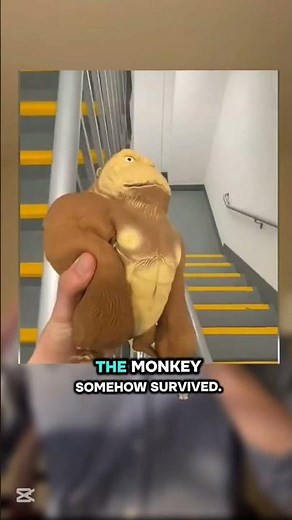 Breaking the Indestructible Monkey_ #shorts