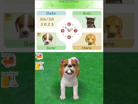 Nintendogs: Best Friends Part 1