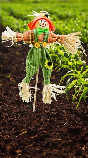 Scarecrows |The Silent Guardians of the Cropfields #education #sustainablefarming
