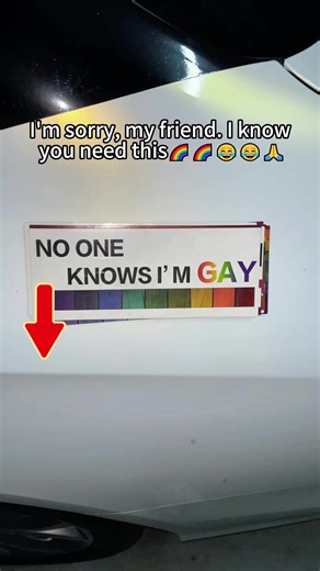 this is hilarious on the road😭#bumperstickers #funnybumperstickers #carstickers #cardecal #unhinged