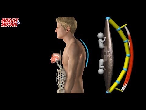 Myofacia approach for forward-head posture