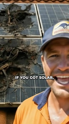 𝗛𝗔𝗩𝗘 𝗔 𝗦𝗢𝗟𝗔𝗥 𝗦𝗬𝗦𝗧𝗘𝗠 𝗢𝗟𝗗𝗘𝗥 𝗧𝗛𝗔𝗡 𝟮𝟬𝟭𝟱? You could be eligible for a solar system upgrade with no out-of-pocket cost through the 2025 Solar Upgrade Program. Thanks to a government-backed initiative, homeowners with older systems may qualify for a brand-new solar upgrade. Own your home and already have solar? Click below to see if your home's postcode qualifies - checking is FREE! | Aus Solar Program