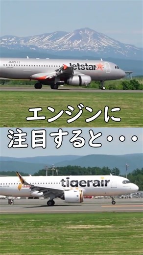 【飛行機マニアックポイント】A320とA320neoの着陸直後の違いは？＠旭川空港