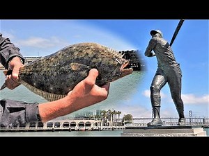 Urban Halibut Fishing!! - San Francisco, California