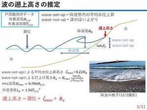 カスプ地形の発達過程と形成条件 長﨑由伽子