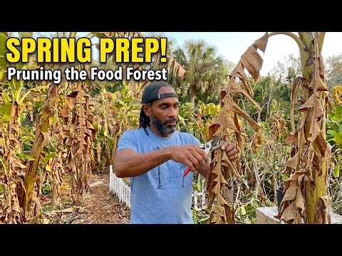 Spring Resurrection Pruning Away Winter's Damage