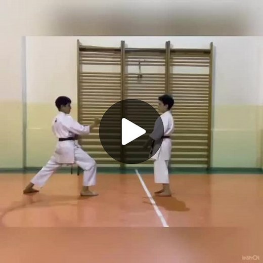 TikTok · Karate Techniques