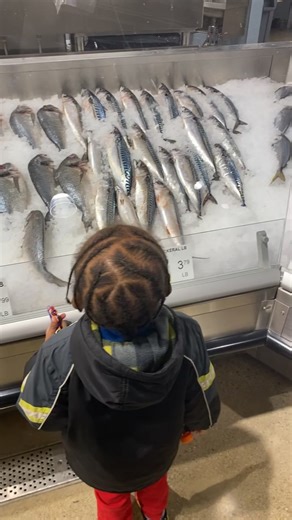 Look at all the CHICKENS 🤣🤣🤣