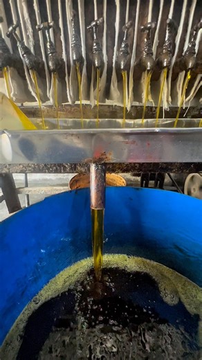 No.1 Pure Mustard Oil Making Process | 100% Traditional Cold Pressed Oil!😯#viral #foryou