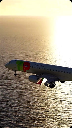 Flight Playground | MSFS on Instagram: "On final approach. From Microsoft Flight Simulator 2020. #msfs #flightsim #flightsimulator #planelanding"