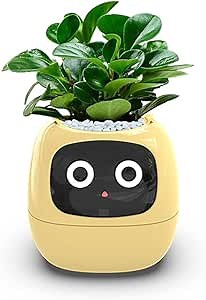 Intelligent Flower Pot, Electronic Bud, Maintenance Plant Assistant, Fun Interactive Flower Pot, Indoor Green Planting Monitoring, LCD Screen Display, Cell Phone APP Connection (Yellow)