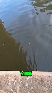 5K views · 55 reactions |  New Video: Unlock the Secrets of Canal...