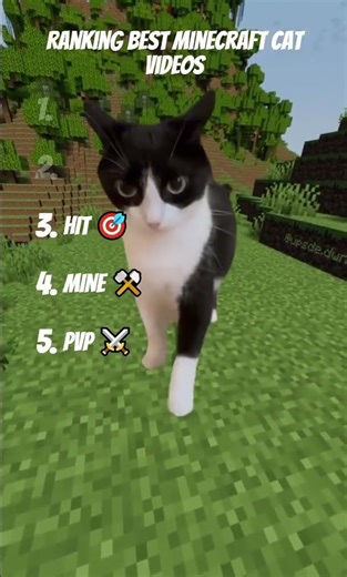 Ranking Best Minecraft Cat Videos #minecraft #cat #pets #cute